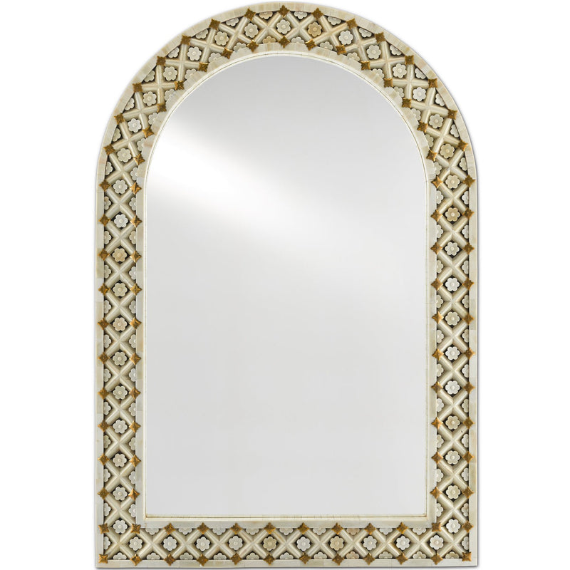 Currey and Company - 1000-0089 - Mirror - Ellaria - Natural Bone/Brass/Mirror