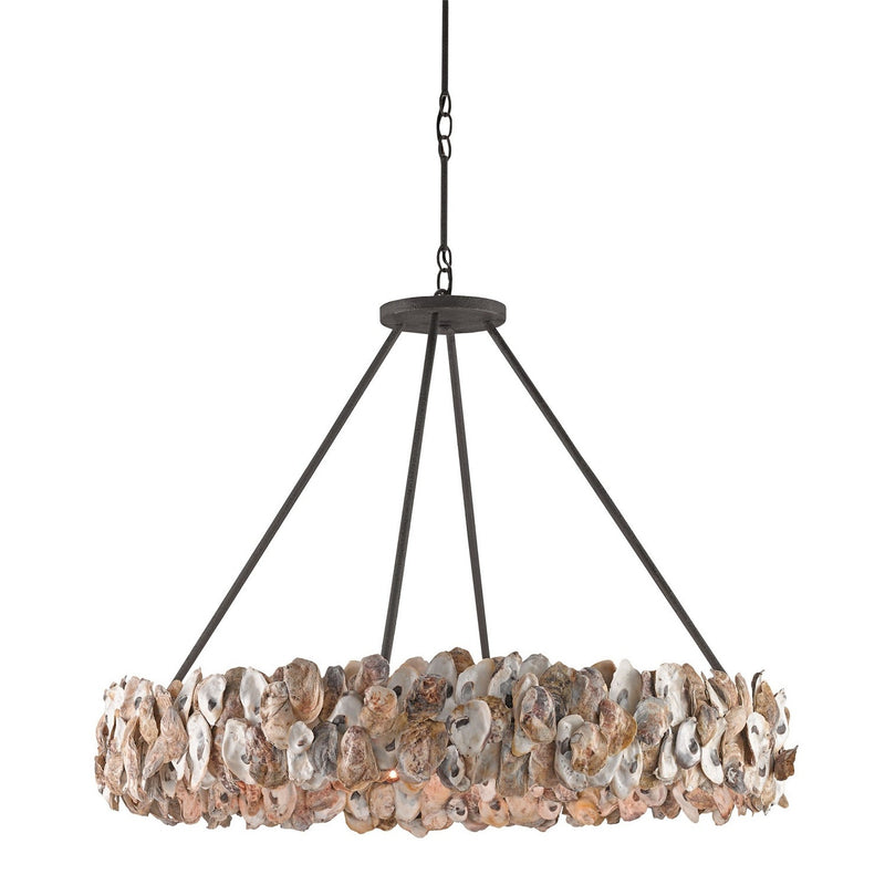 Currey and Company - 9672 - Eight Light Chandelier - Oyster Shell Collection - Textured Bronze/Natural
