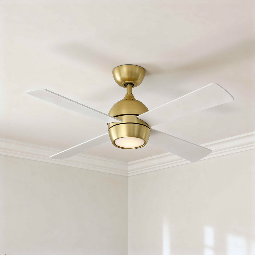 Ceiling Fans with Lights