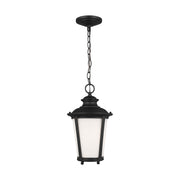 Generation Lighting - 62240EN3-12 - One Light Outdoor Pendant - Cape May - Black