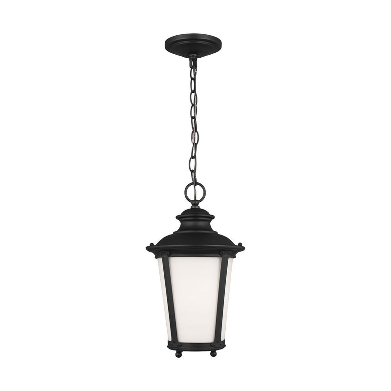 Generation Lighting - 62240EN3-12 - One Light Outdoor Pendant - Cape May - Black