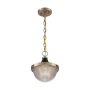 Nuvo Lighting - 60-7059 - One Light Pendant - Faro - Burnished Brass / Black