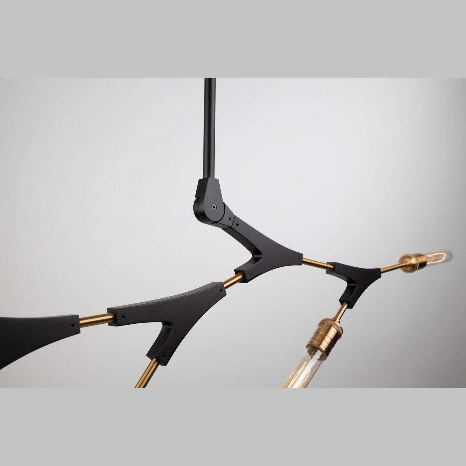 Artcraft - AC11535 - Five Light Chandelier - Filiali - Black & Harvest Brass