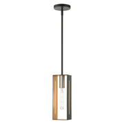 Livex Lighting - 45951-14 - One Light Pendant - Soma - Textured Black w/ Brushed Nickels