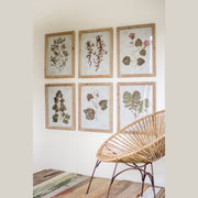 Kalalou - CHH1133 - Prints Under Glass - Brown