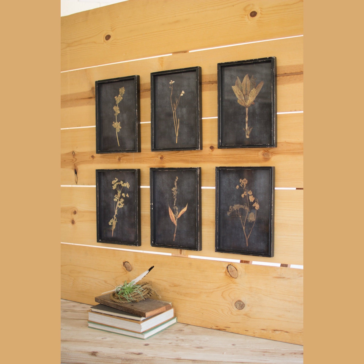 Kalalou - CHH1159 - Prints Under Glass - Black