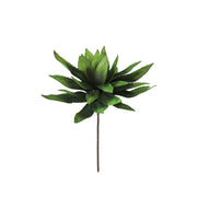 Kalalou - CLX2074 - Botanica - Green