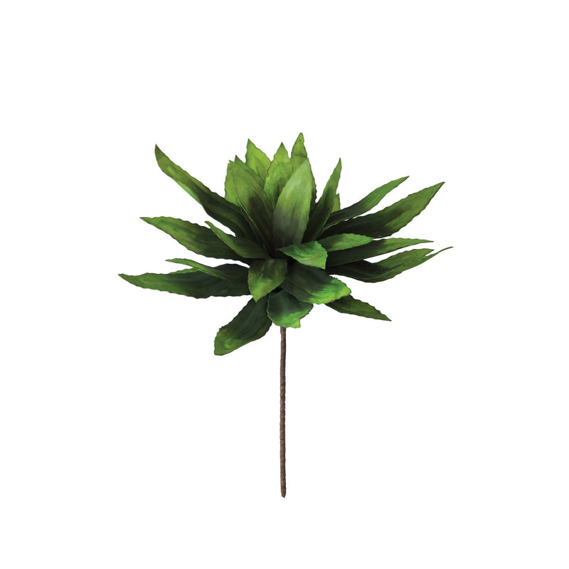 Kalalou - CLX2074 - Botanica - Green