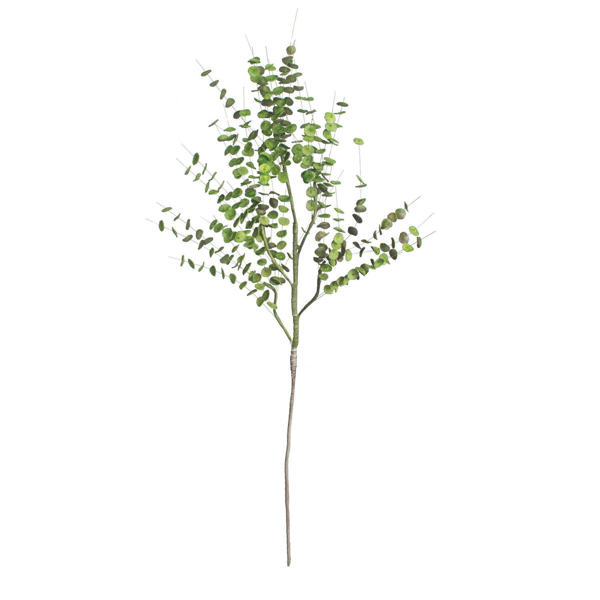 Kalalou - CLX2650 - Botanica - Green