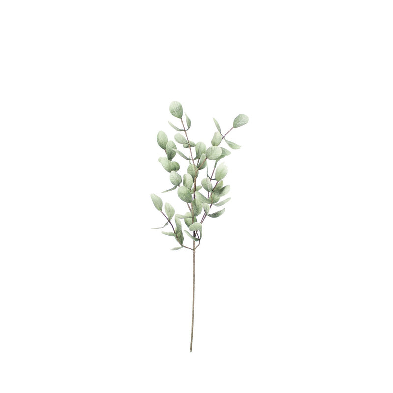 Kalalou - CLX2675 - Botanica - Green