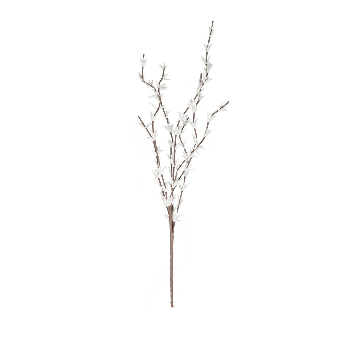 Kalalou - CLX2714 - Botanica - White