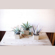 Kalalou - CNL1030 - Set Of 3 Artificial Succulents In Square Pots - Multi