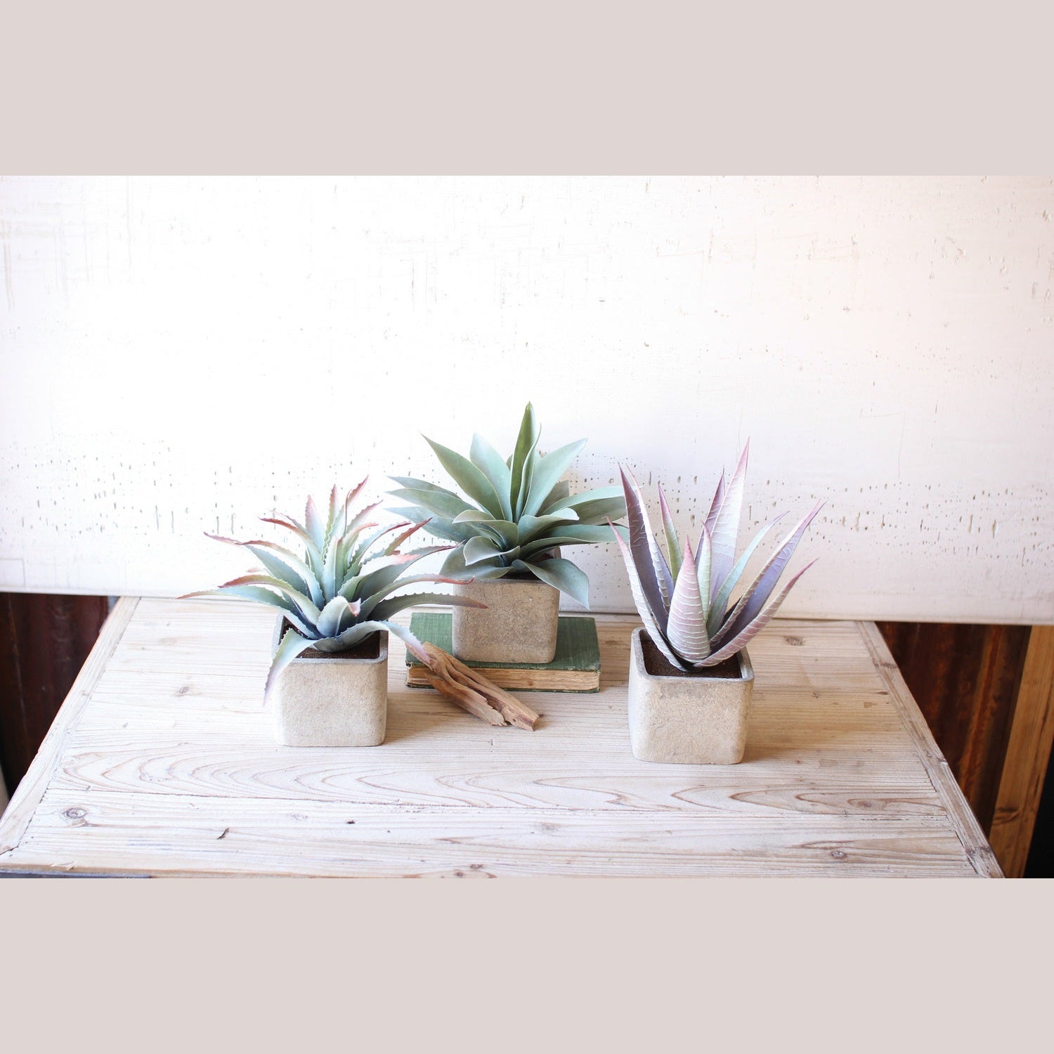 Kalalou - CNL1030 - Set Of 3 Artificial Succulents In Square Pots - Multi