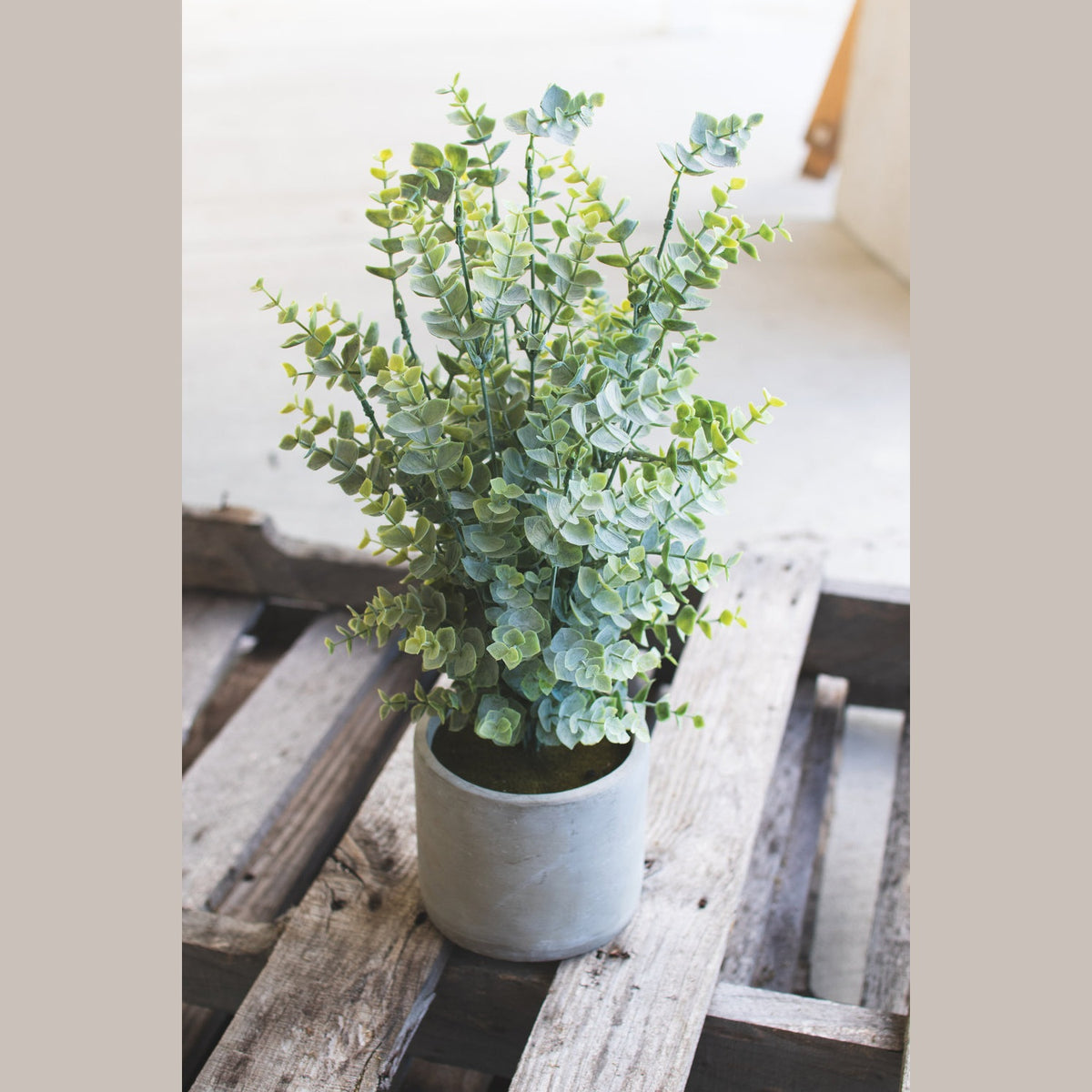 Kalalou - CNL1194 - Artificial Boxwood - Multi