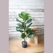 Kalalou - CNL1213 - Artificial Fiddle Leaf Fig In A Pot - Green