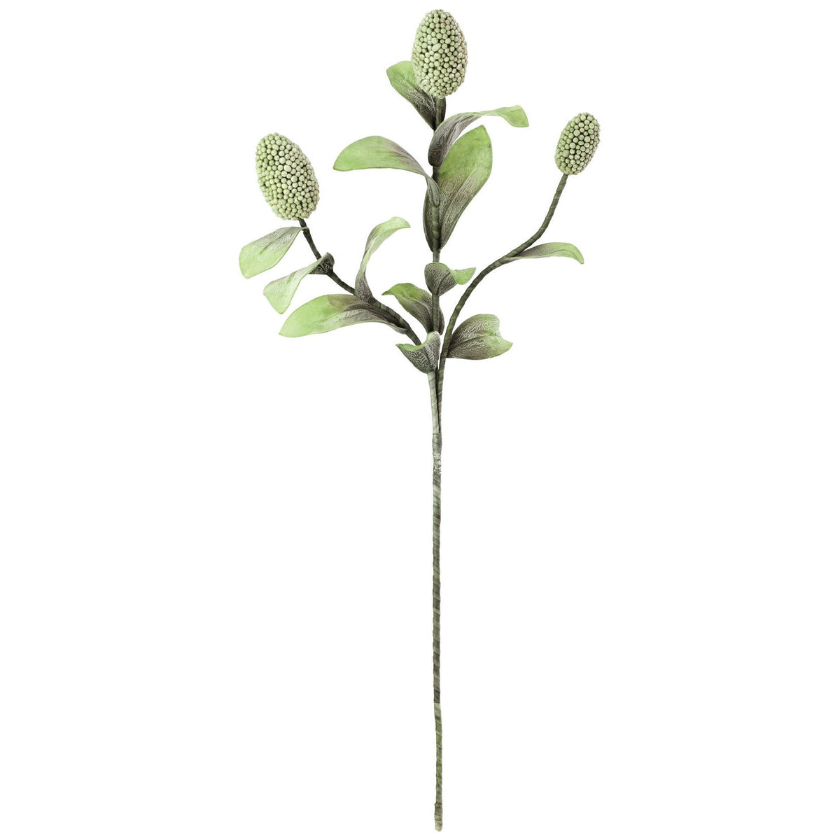 Kalalou - CSL1065 - Botanica - Green