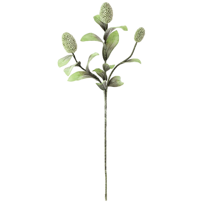 Kalalou - CSL1065 - Botanica - Green