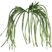 Kalalou - CSL1183 - Botanica - Green