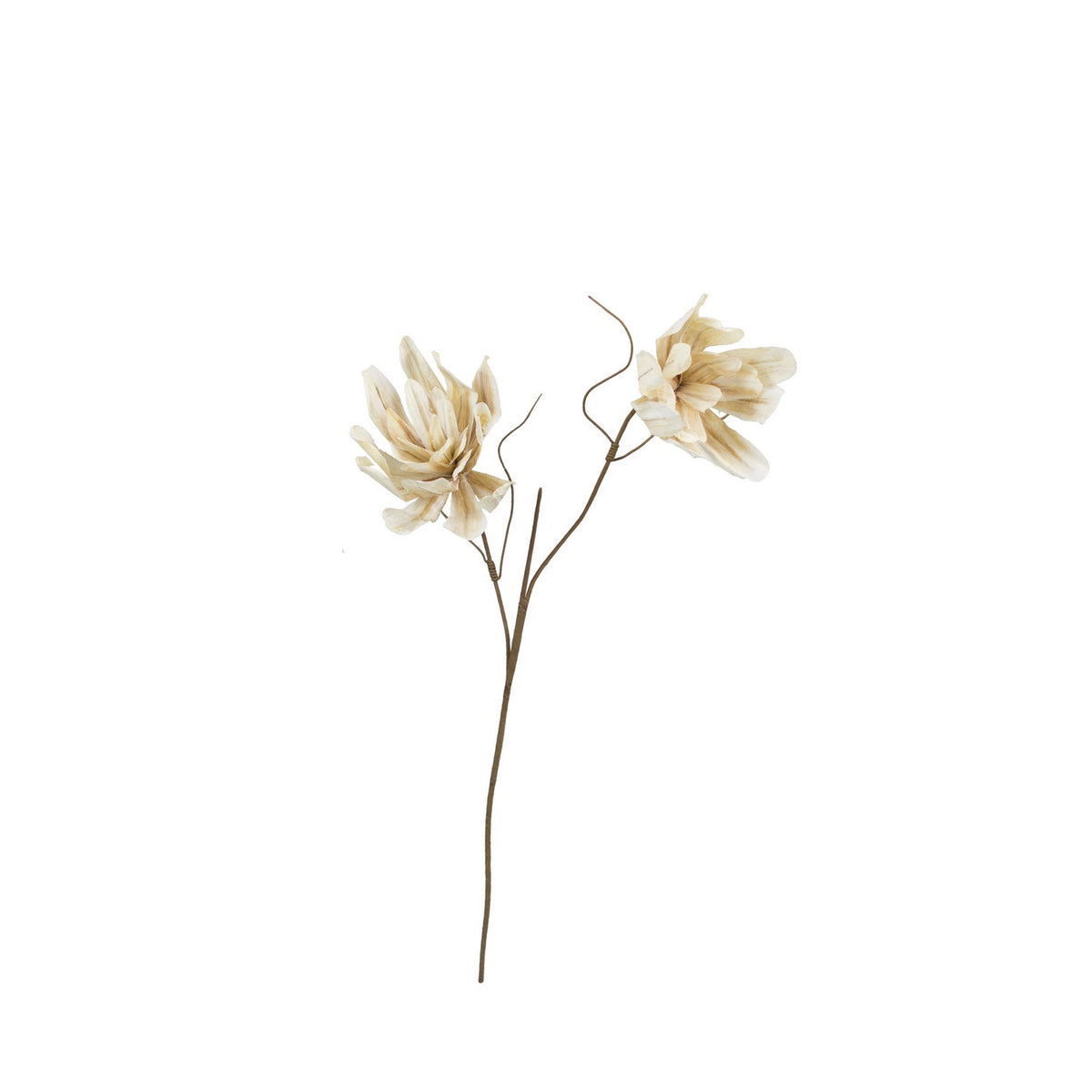 Kalalou - CSL1297 - Botanica - White