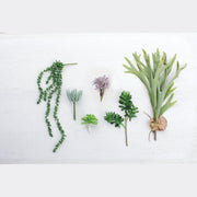 Kalalou - CYF1083 - Artificial Necklace Fern Succulent - Green
