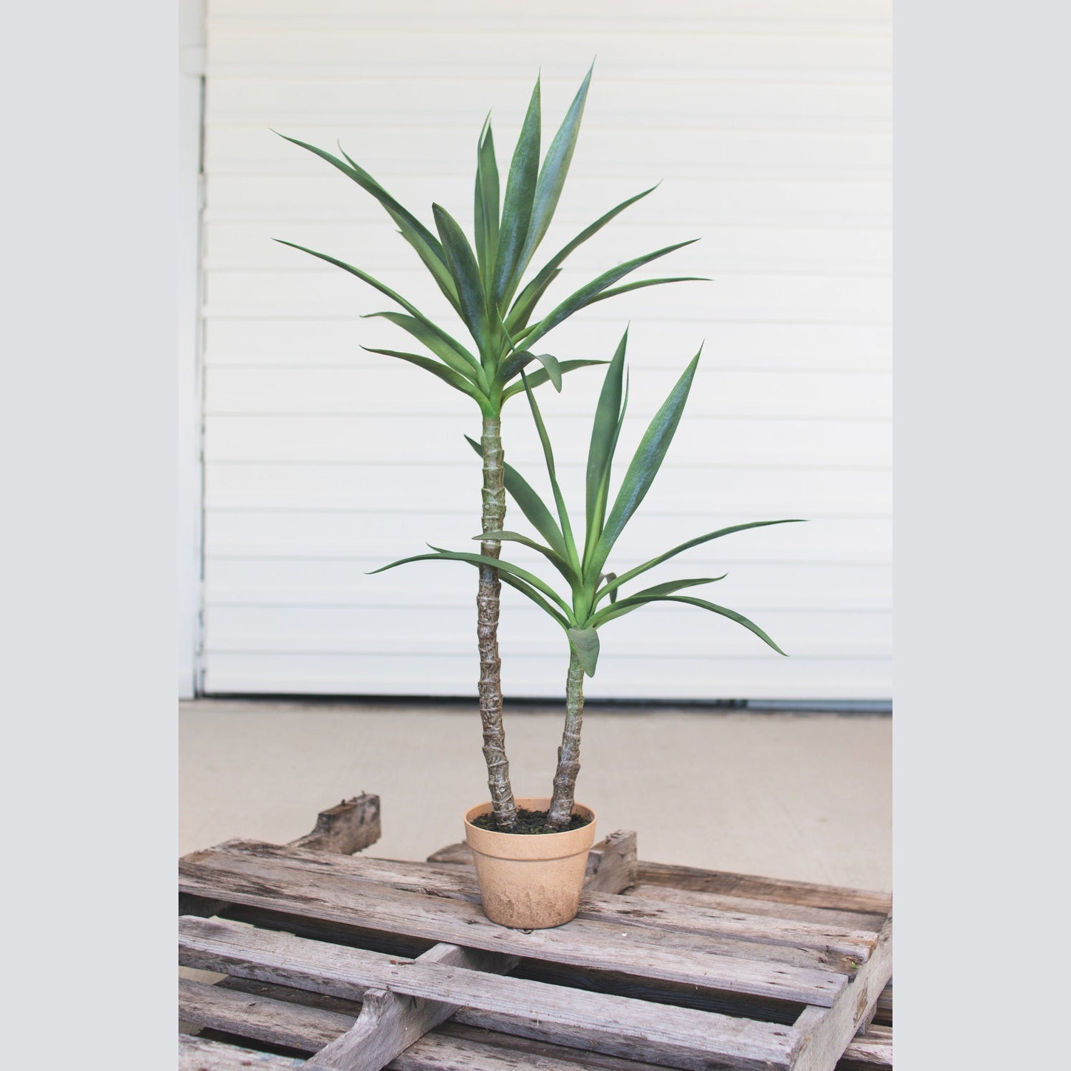 Kalalou - CYF1228 - Artificial Heneken Plant With Painted Plastic Pot - Green