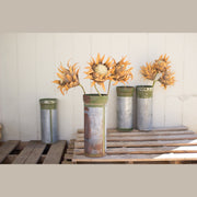 Kalalou - NBF2055 - Canister - Multi
