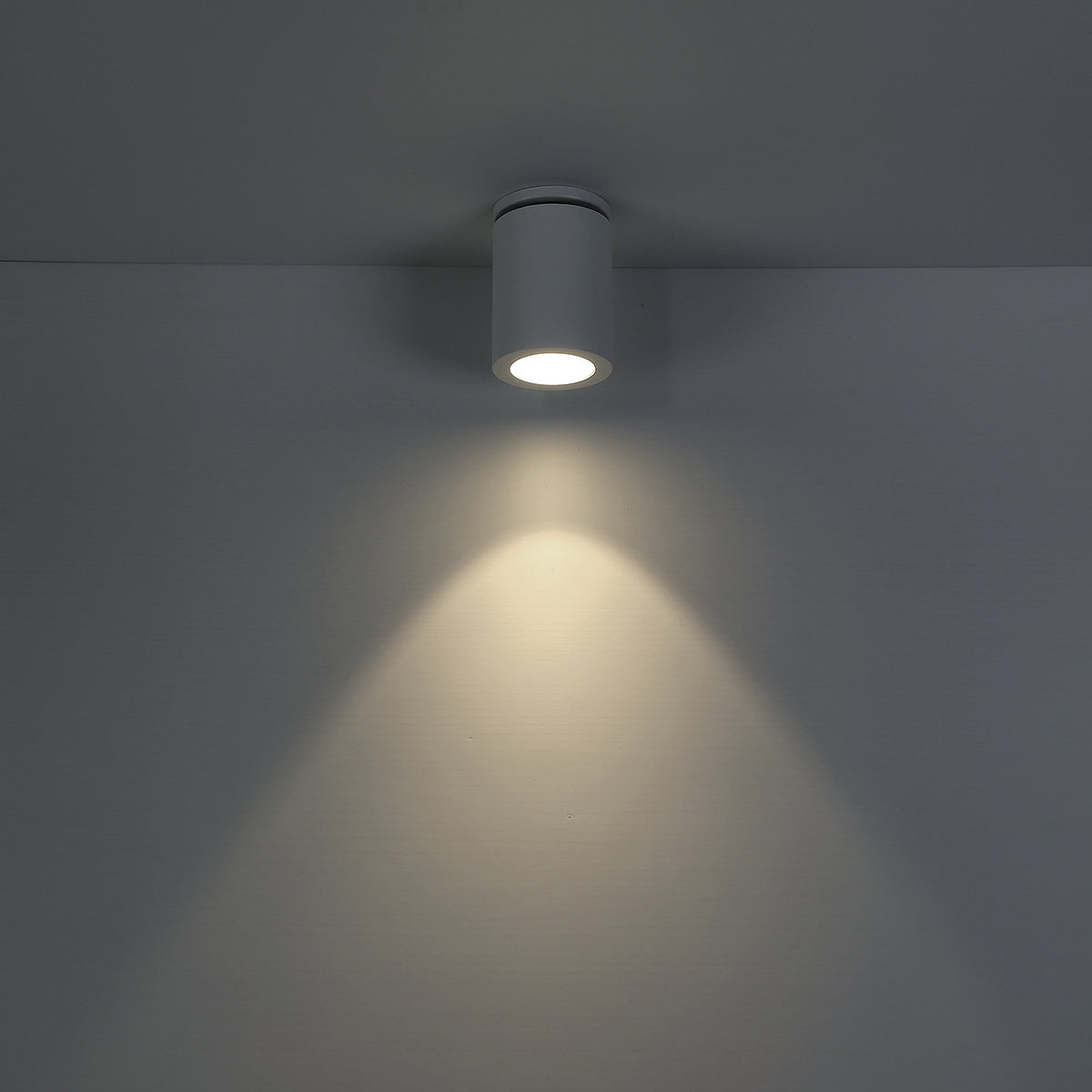 Eurofase - 30309-012 - LED Flush Mount - Lotus - White