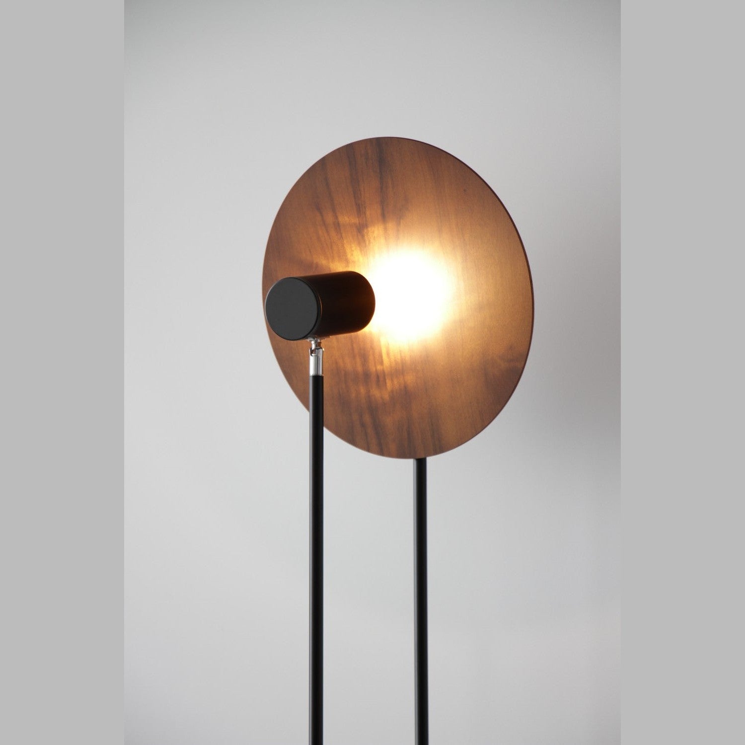 Accord Lighting - 3126.06 - Two Light Floor Lamp - Dot - Imbuia