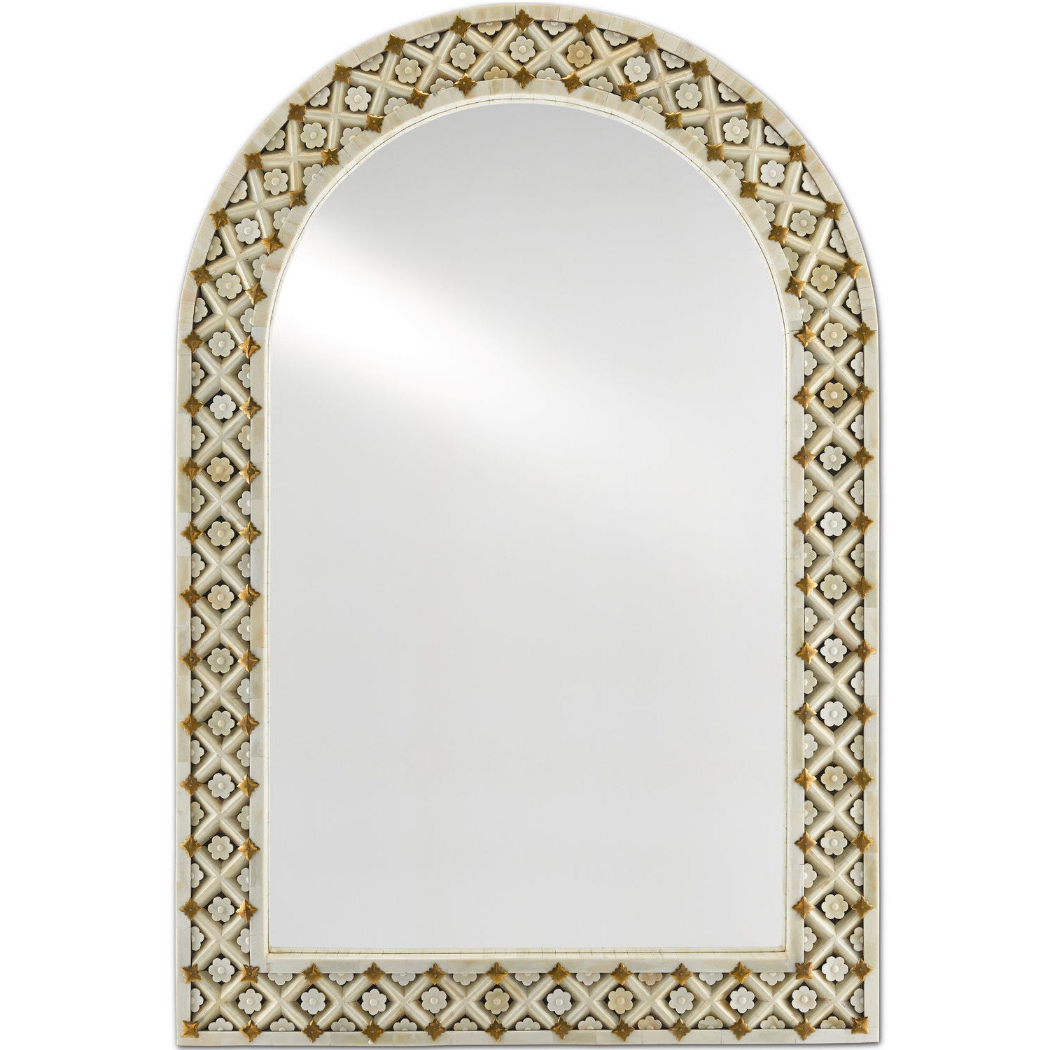 Currey and Company - 1000-0089 - Mirror - Ellaria - Natural Bone/Brass/Mirror