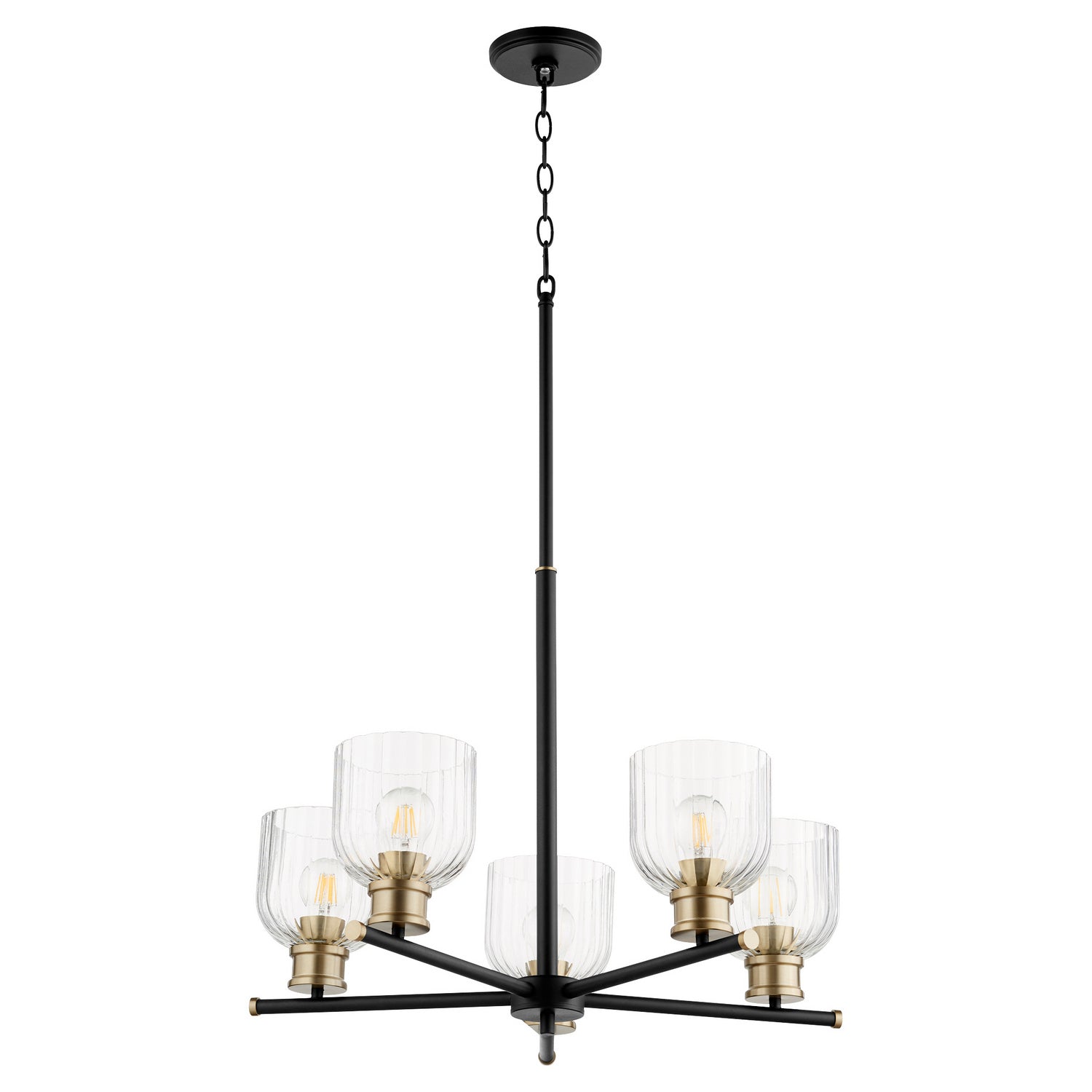 Quorum - 610-5-6980 - Five Light Chandelier - Monarch - Textured Black w/ Aged Brass