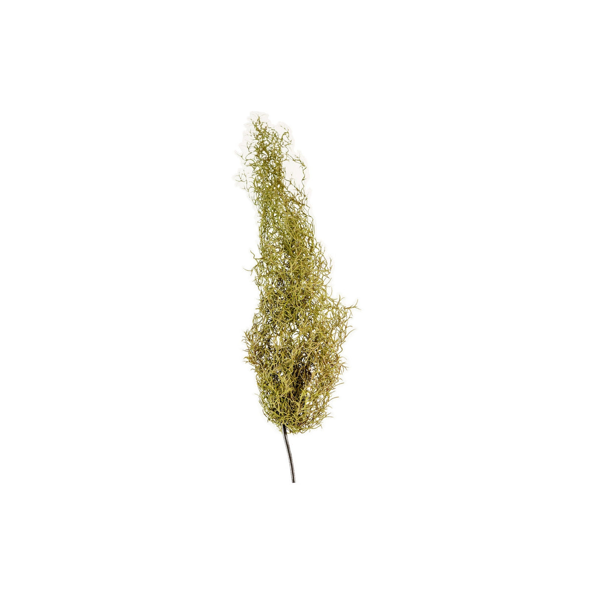 Kalalou - CYF1250 - Artificial Grey Moss - Gray