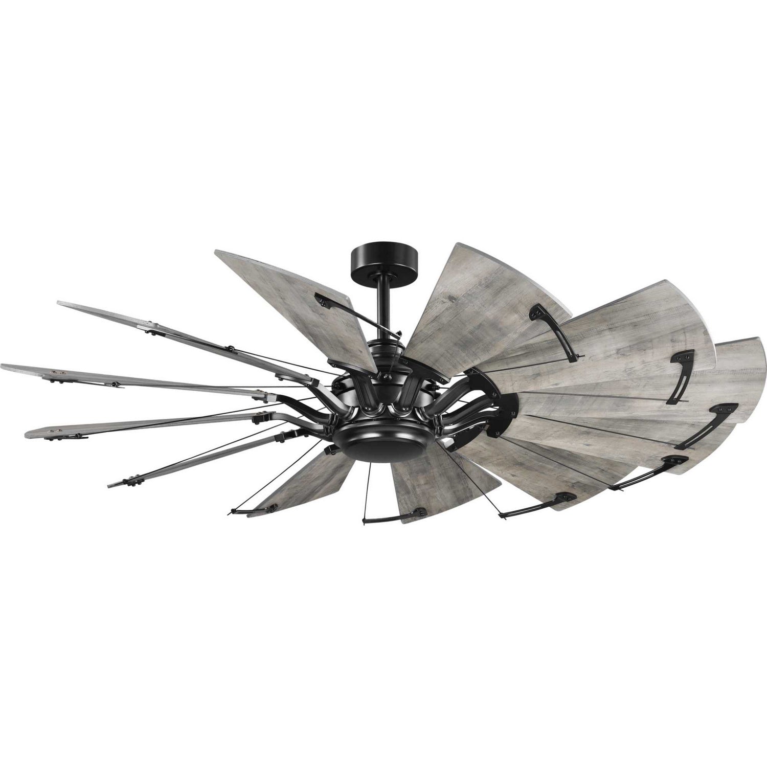 Progress Lighting - P250000-31M - 60" Ceiling Fan - Springer - Matte Black