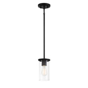 Minka-Lavery - 4090-66A - One Light Pendant / Semi Flush - Haisley - Coal