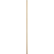 Quorum - 6-4880 - Downrod - 48 in. Downrods - Aged Brass