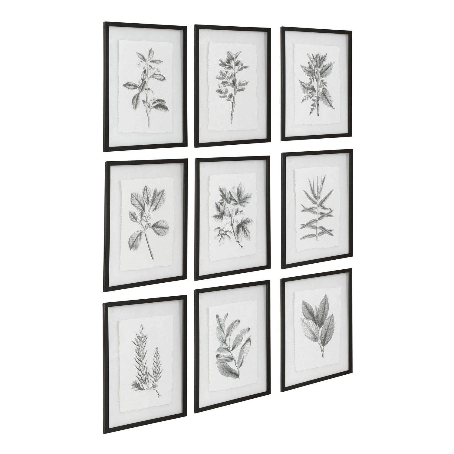 Uttermost - 41617 - Wall Art - Farmhouse Florals - Matte Black