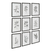 Uttermost - 41617 - Wall Art - Farmhouse Florals - Matte Black
