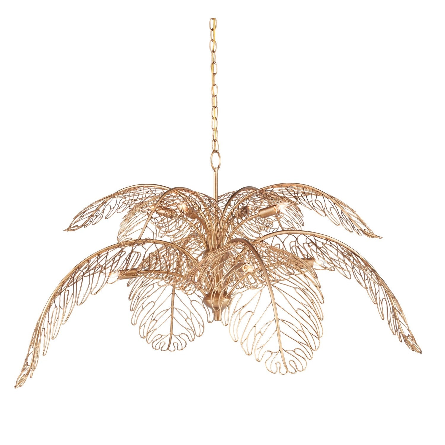 Currey and Company - 9000-0847 - Eight Light Chandelier - Taormina Brass Chandelier - Brass