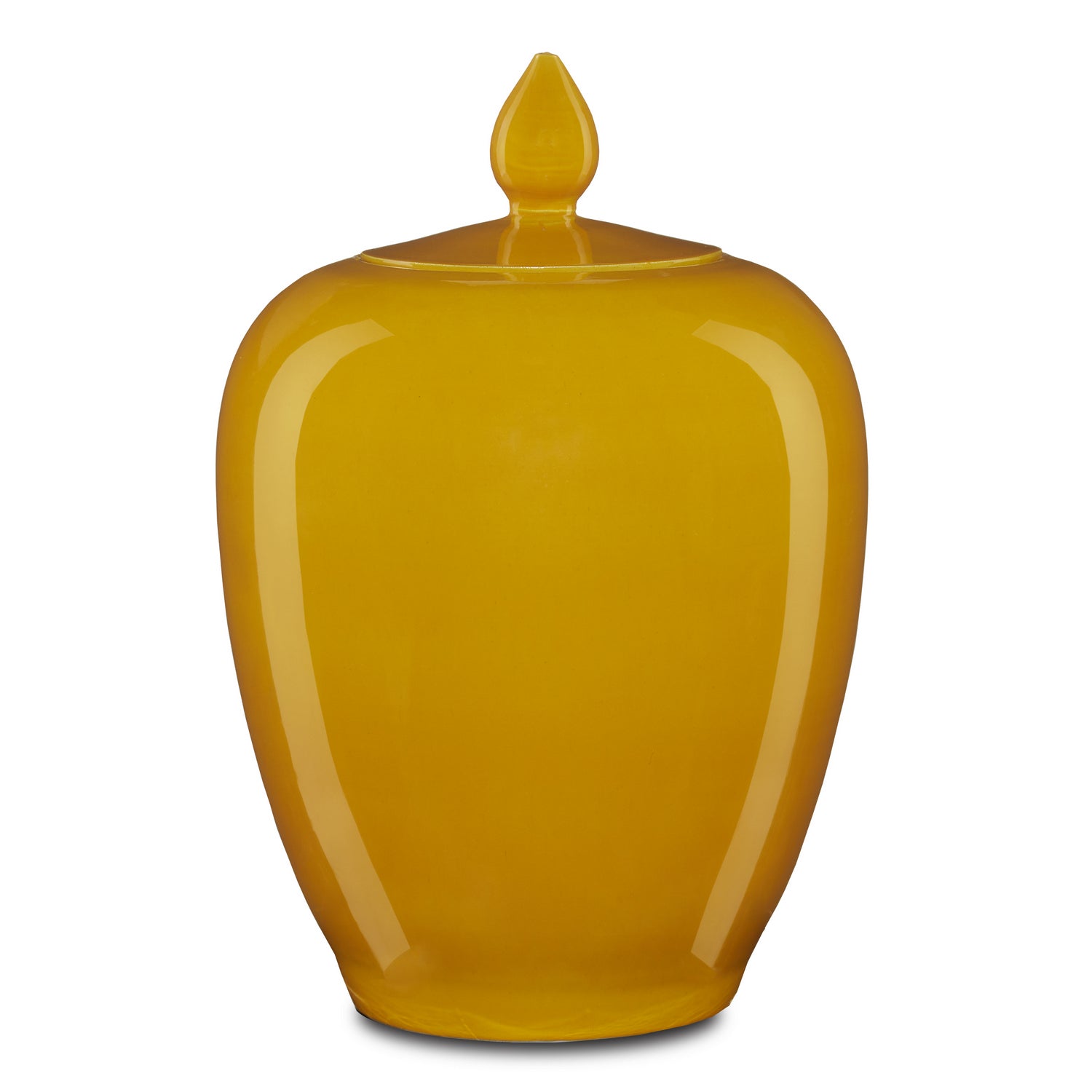 Currey and Company - 1200-0579 - Jar - Imperial Collection - Yellow
