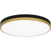 Quoizel - WLN1620MBKG - LED Flush Mount - Weldin - Matte Black Gold