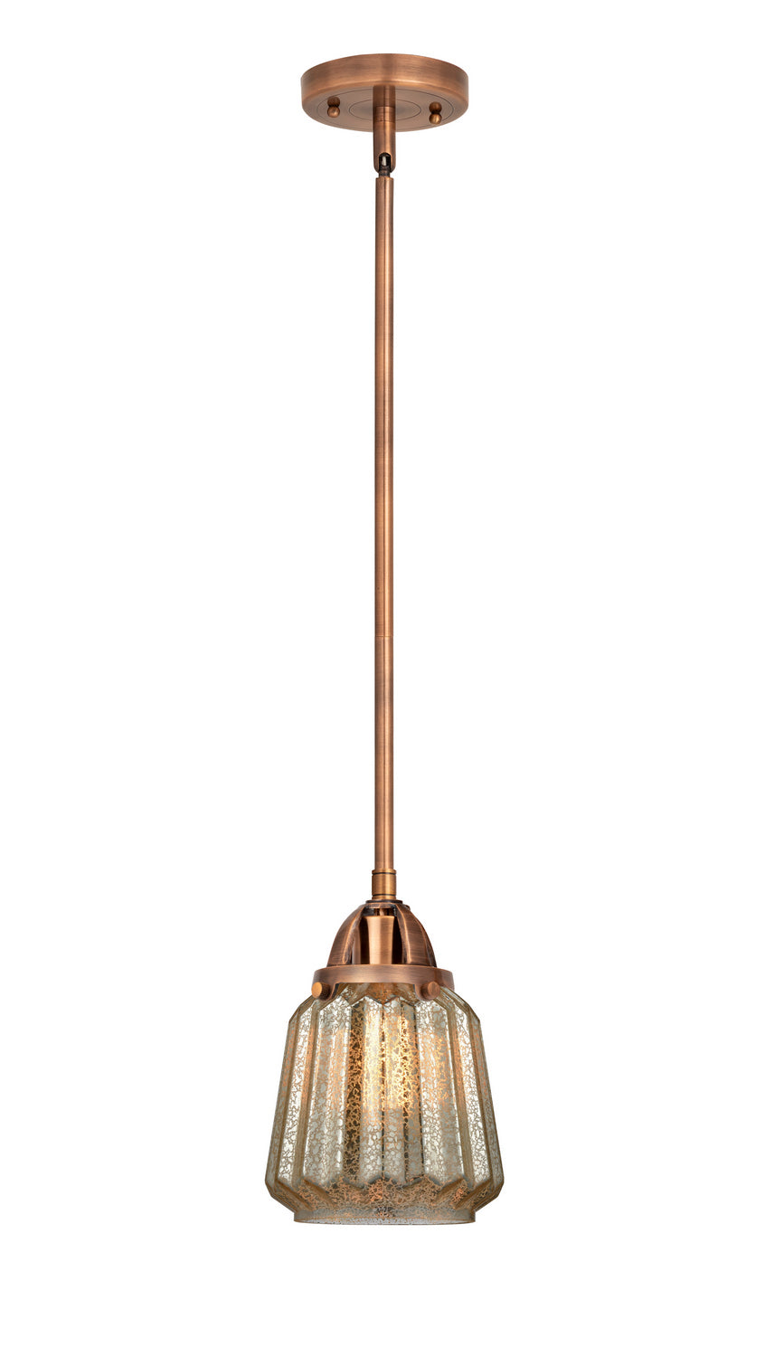 Innovations - 288-1S-AC-G146 - One Light Mini Pendant - Nouveau 2 - Antique Copper