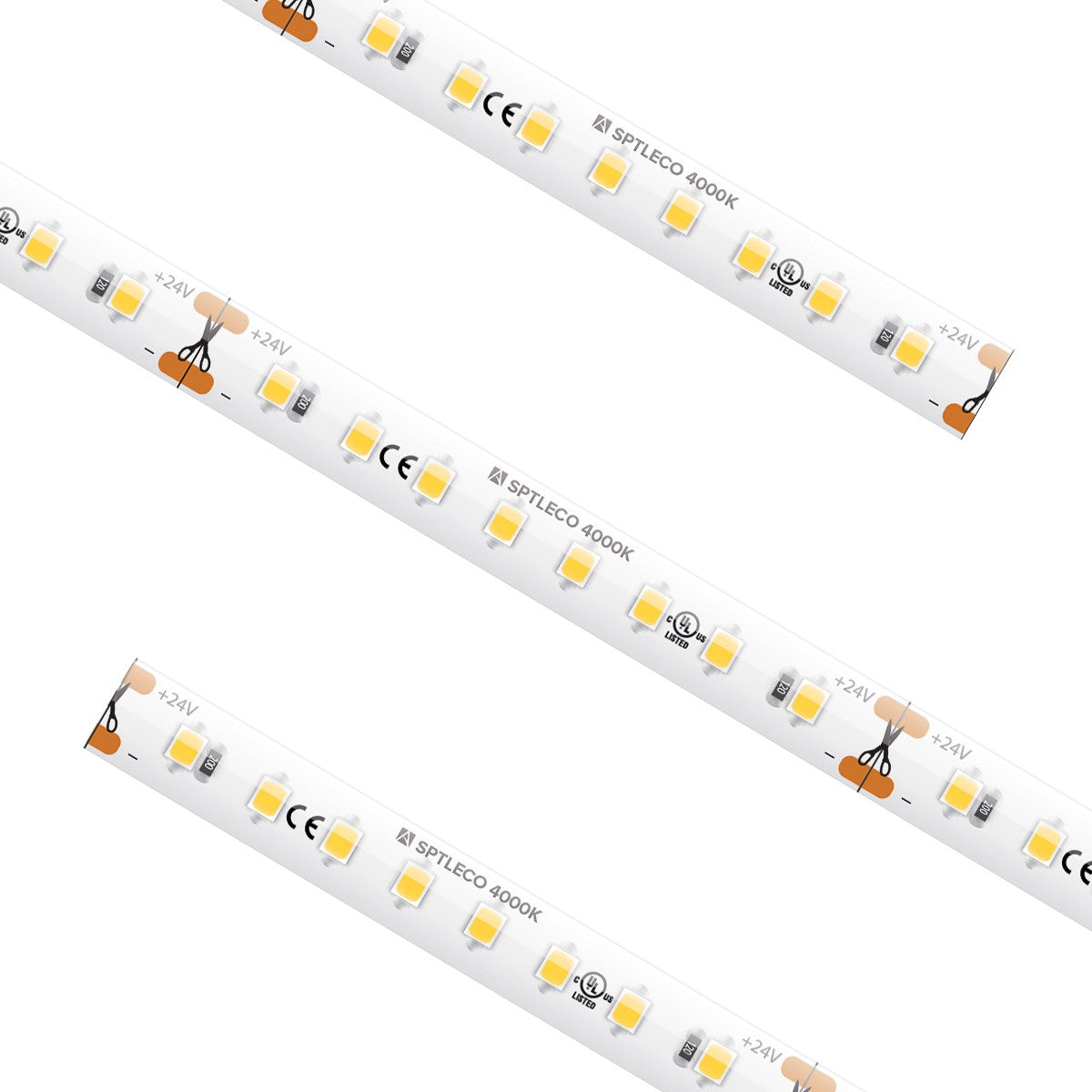 American Lighting - SPTLECO-WH - Tape Light - Spec Eco Tape - White