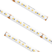 American Lighting - SPTLECO-WH - Tape Light - Spec Eco Tape - White