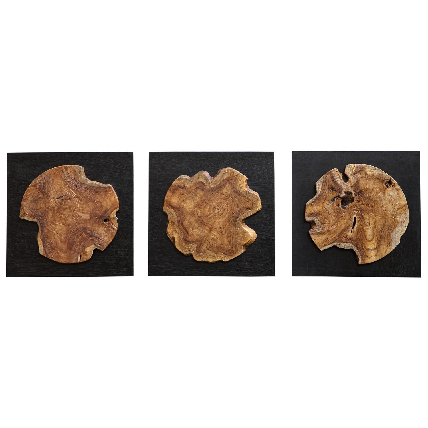 Uttermost - 04336 - Wall Decor, S/3 - Kolini - Satin Black