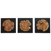 Uttermost - 04336 - Wall Decor, S/3 - Kolini - Satin Black