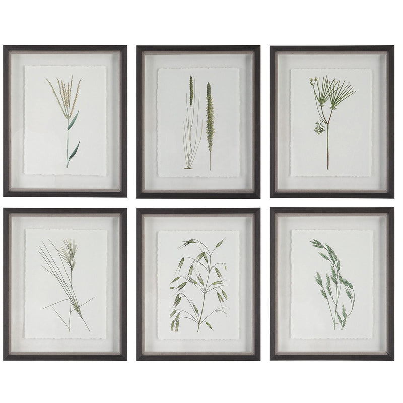 Uttermost - 41459 - Framed Prints, S/6 - Forest Finds - Dark Espresso