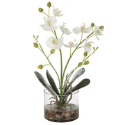 Uttermost - 60201 - Artificial Flower - Glory - Clear