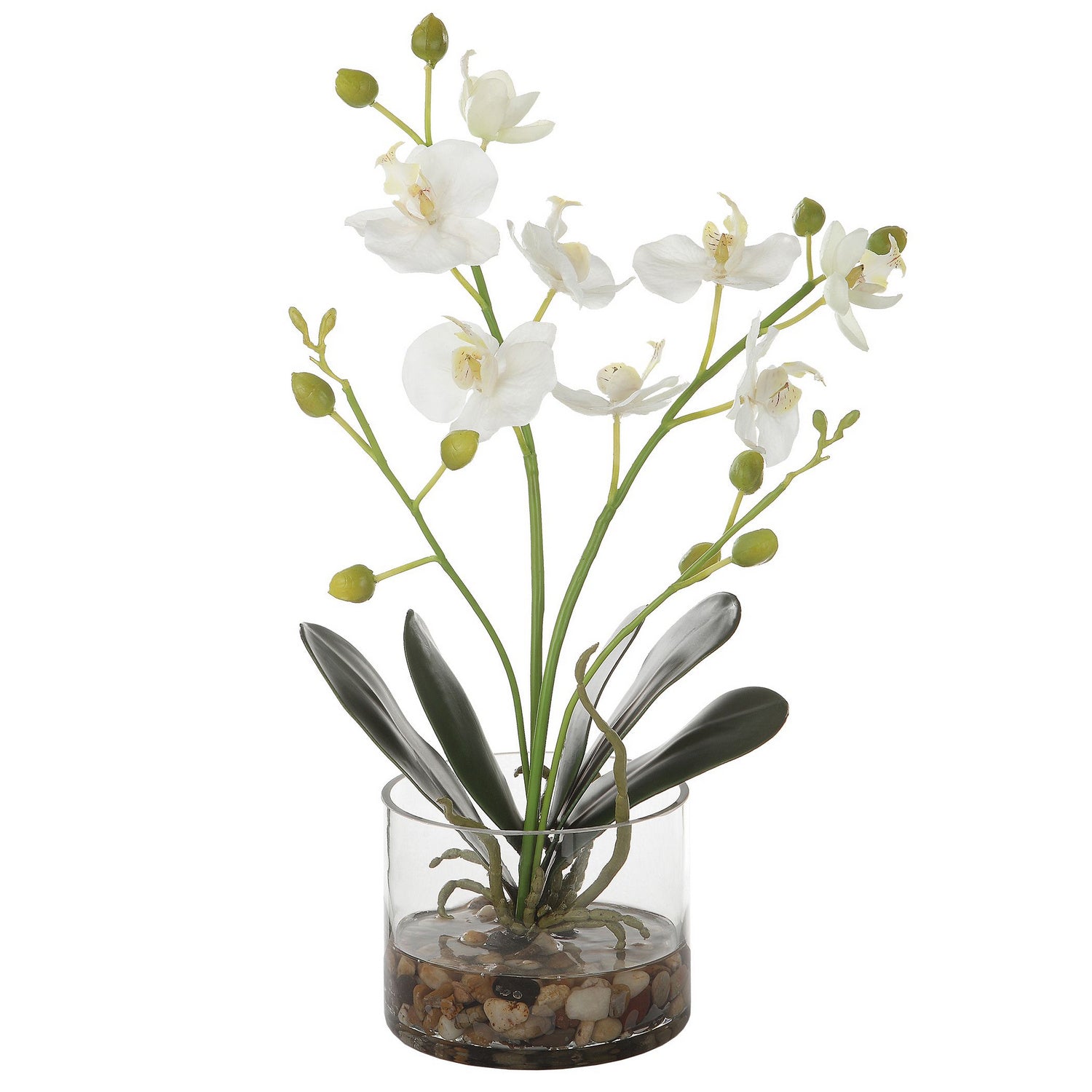 Uttermost - 60201 - Artificial Flower - Glory - Clear