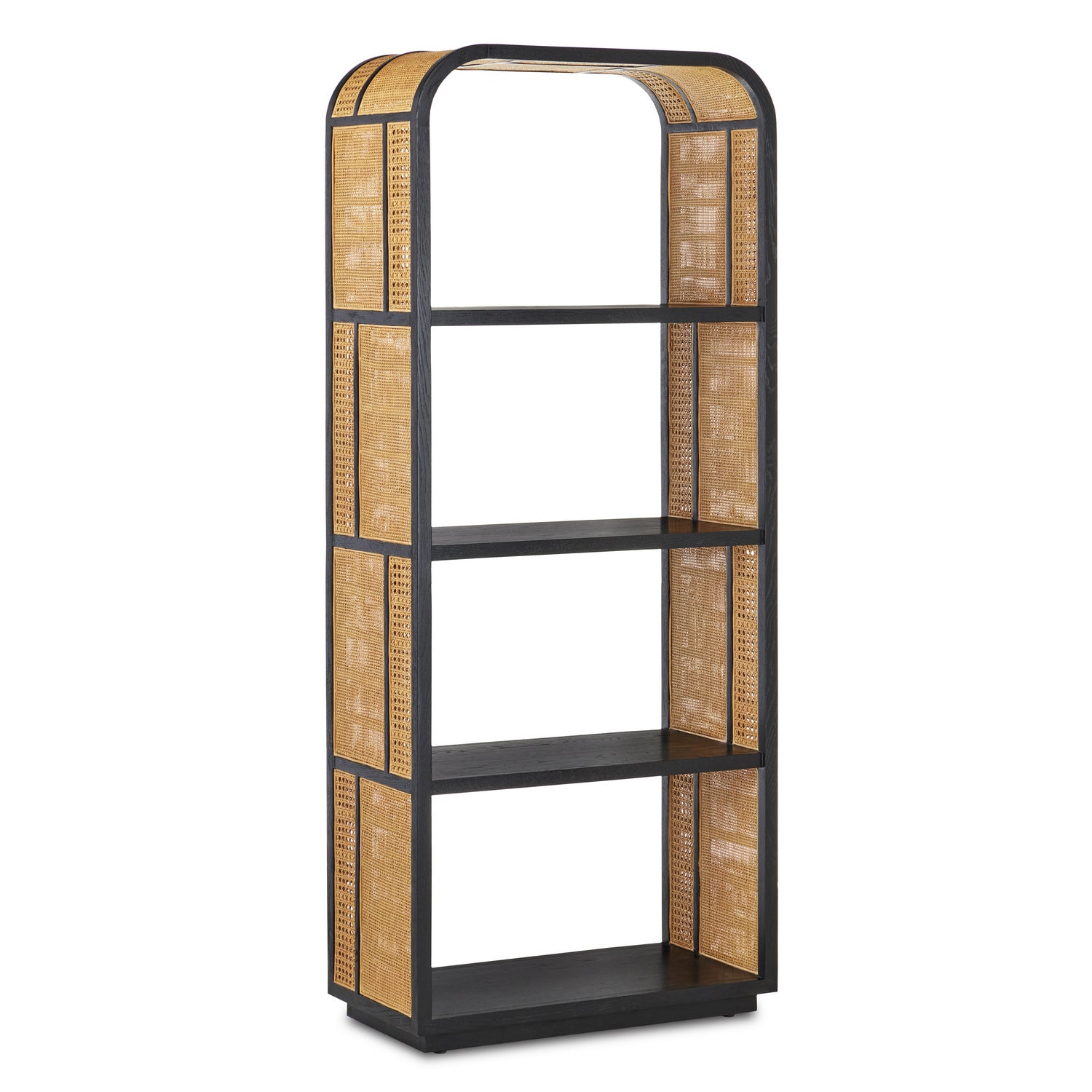Currey and Company - 3000-0229 - Etagere - Anisa Collection - Natural/Black