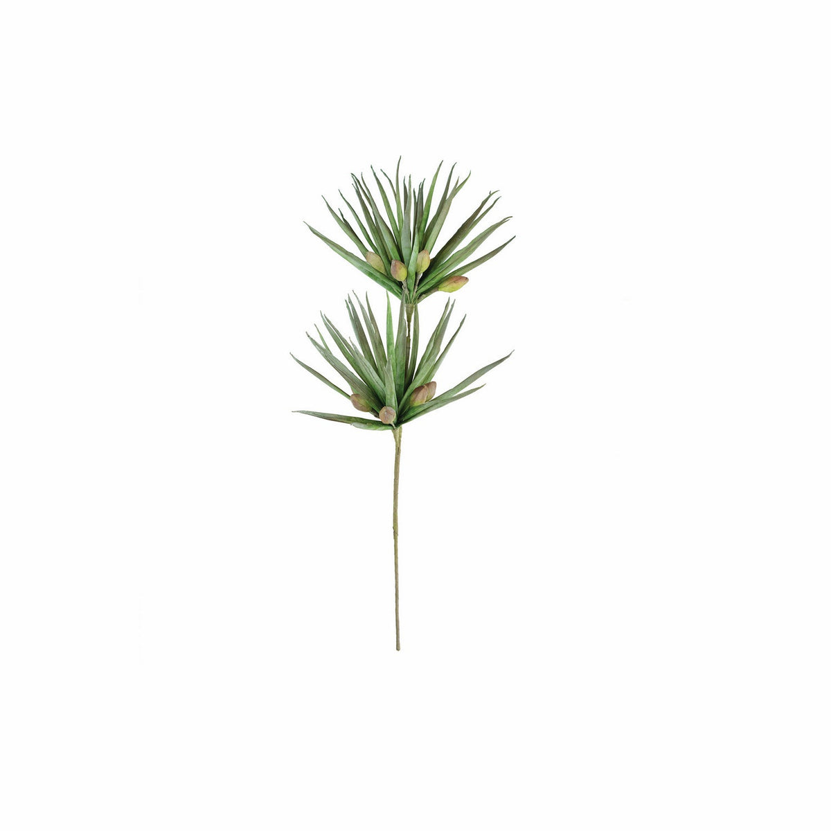 Kalalou - CLX3365 - Botanica - Green