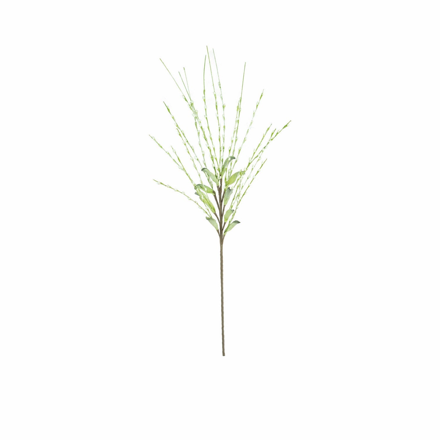 Kalalou - CLX3366 - Botanica - White